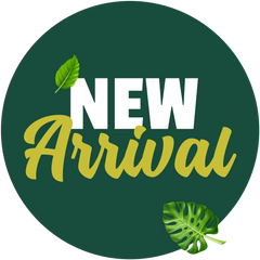 New Arrival